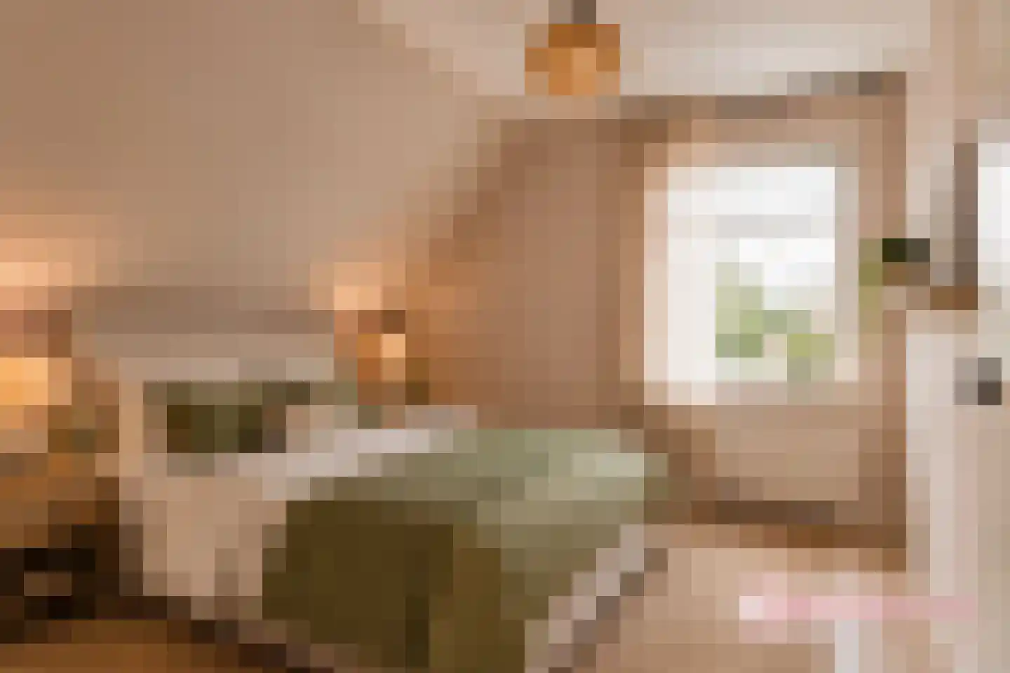 van Beuningenstraat 21 Maasdijk thumbnail 29