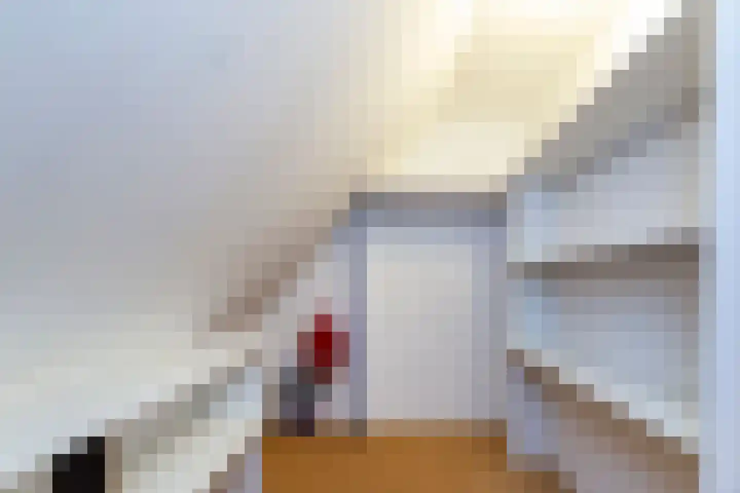 van Beuningenstraat 21 Maasdijk thumbnail 34