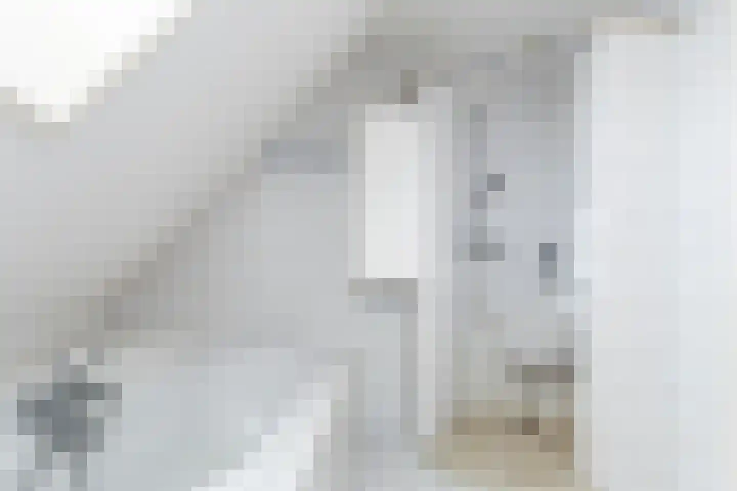 van Beuningenstraat 21 Maasdijk thumbnail 37
