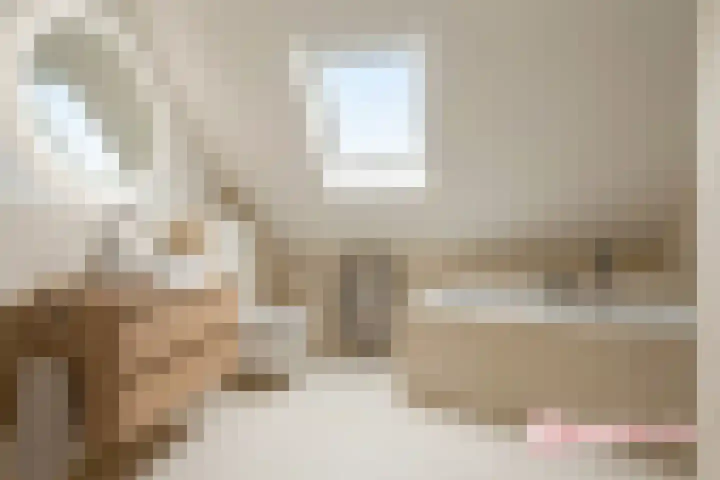 van Beuningenstraat 21 Maasdijk thumbnail 38