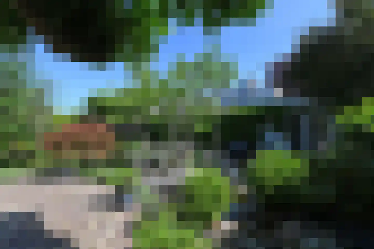 van Beuningenstraat 21 Maasdijk thumbnail 4