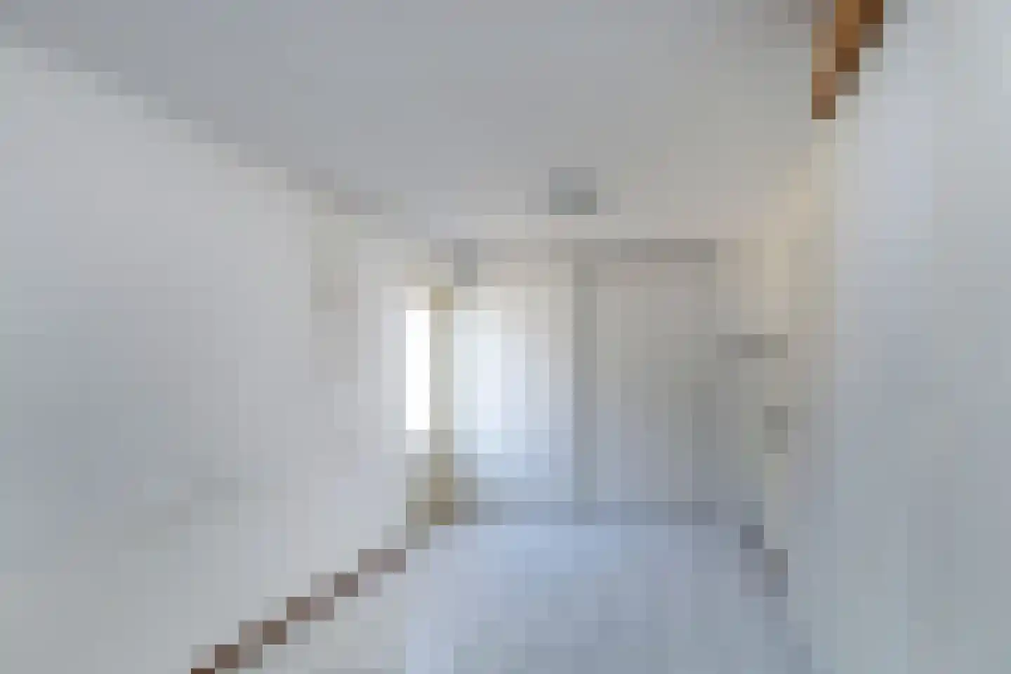 van Beuningenstraat 21 Maasdijk thumbnail 43