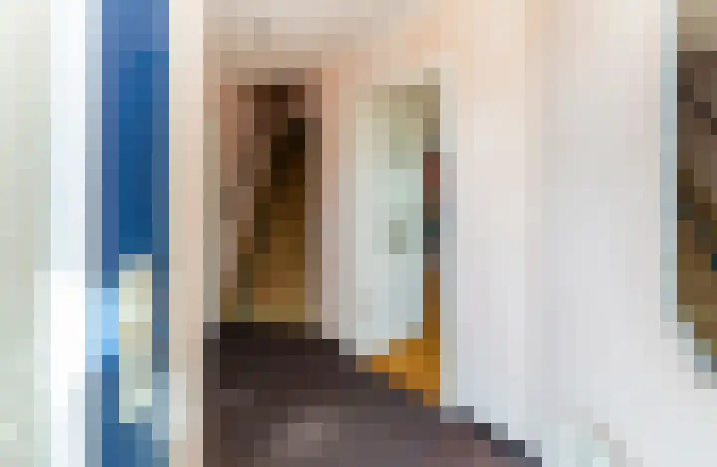 van Beuningenstraat 21 Maasdijk thumbnail 5