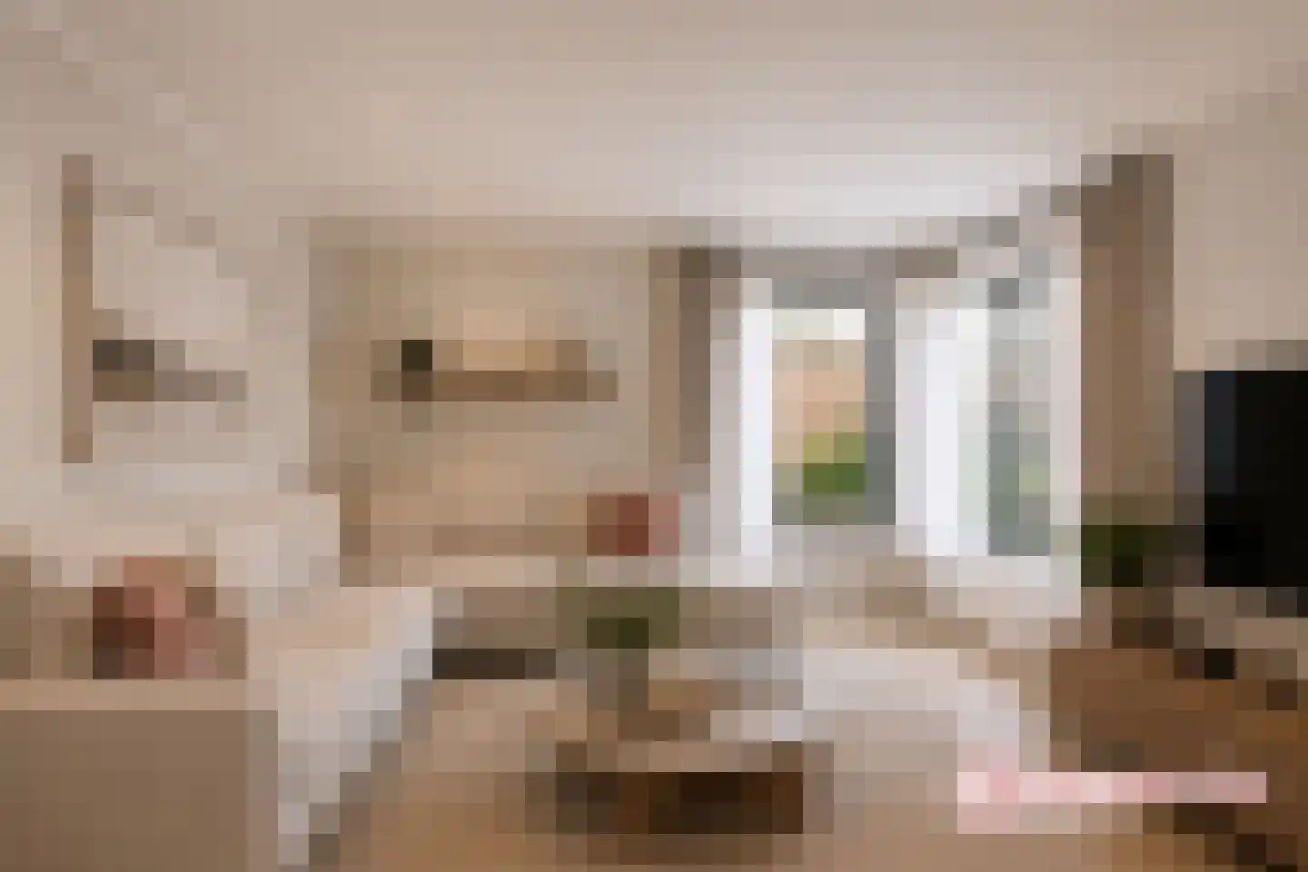 van Beuningenstraat 21 Maasdijk thumbnail 8