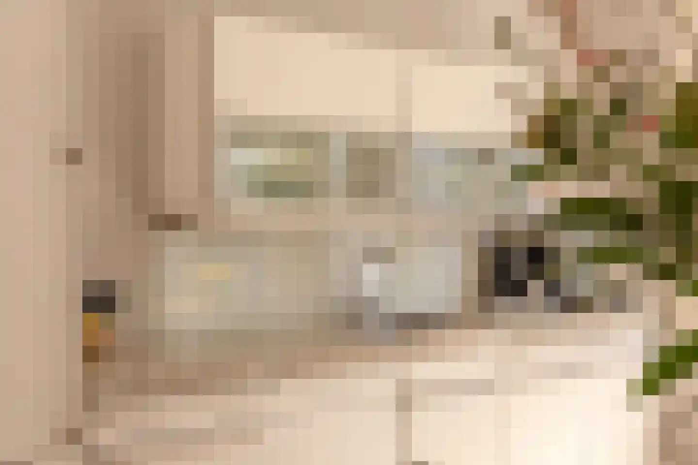 Van Beuningenstraat 22 Den Haag thumbnail 12