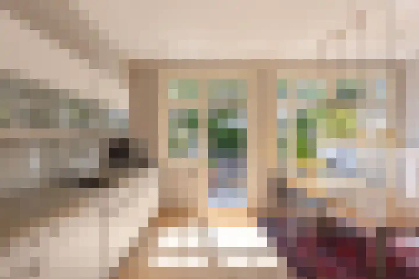 Van Beuningenstraat 22 Den Haag thumbnail 13