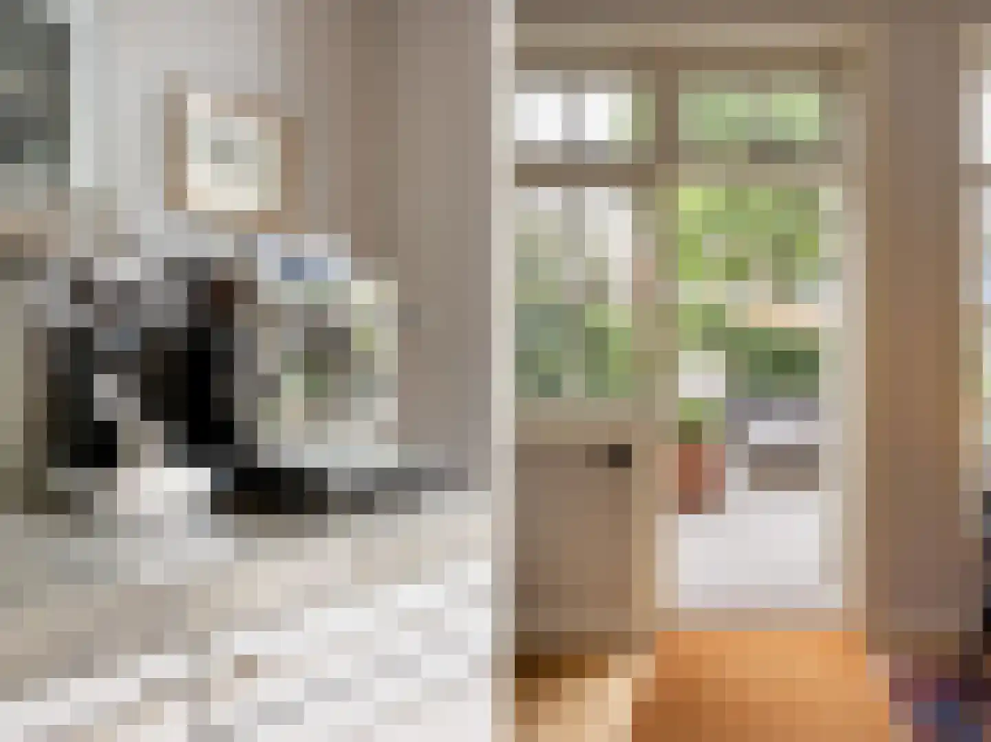 Van Beuningenstraat 22 Den Haag thumbnail 15