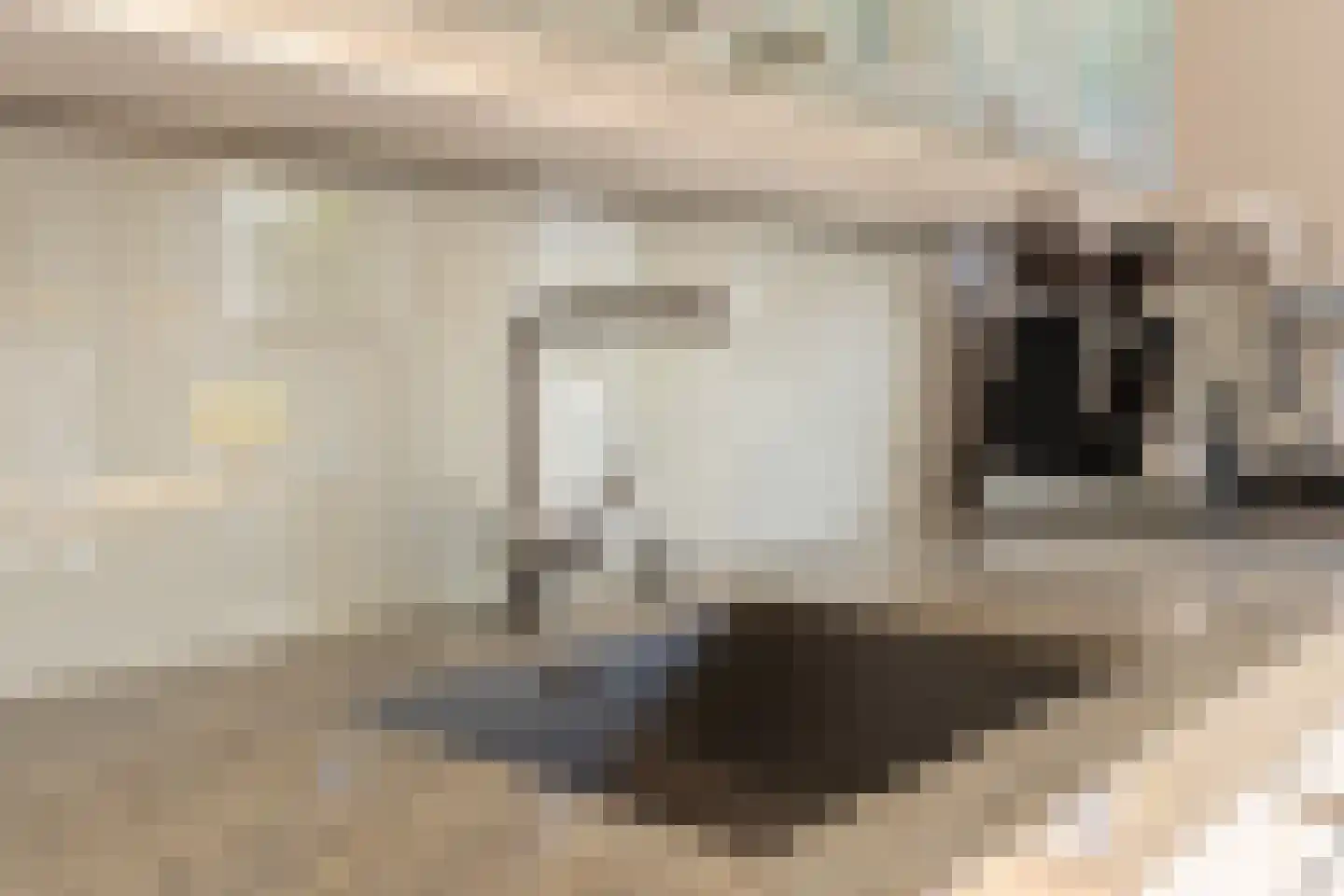 Van Beuningenstraat 22 Den Haag thumbnail 16