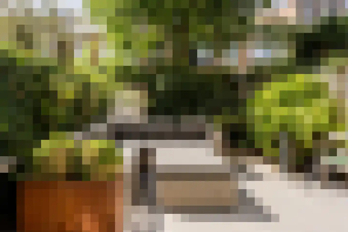 Van Beuningenstraat 22 Den Haag thumbnail 17