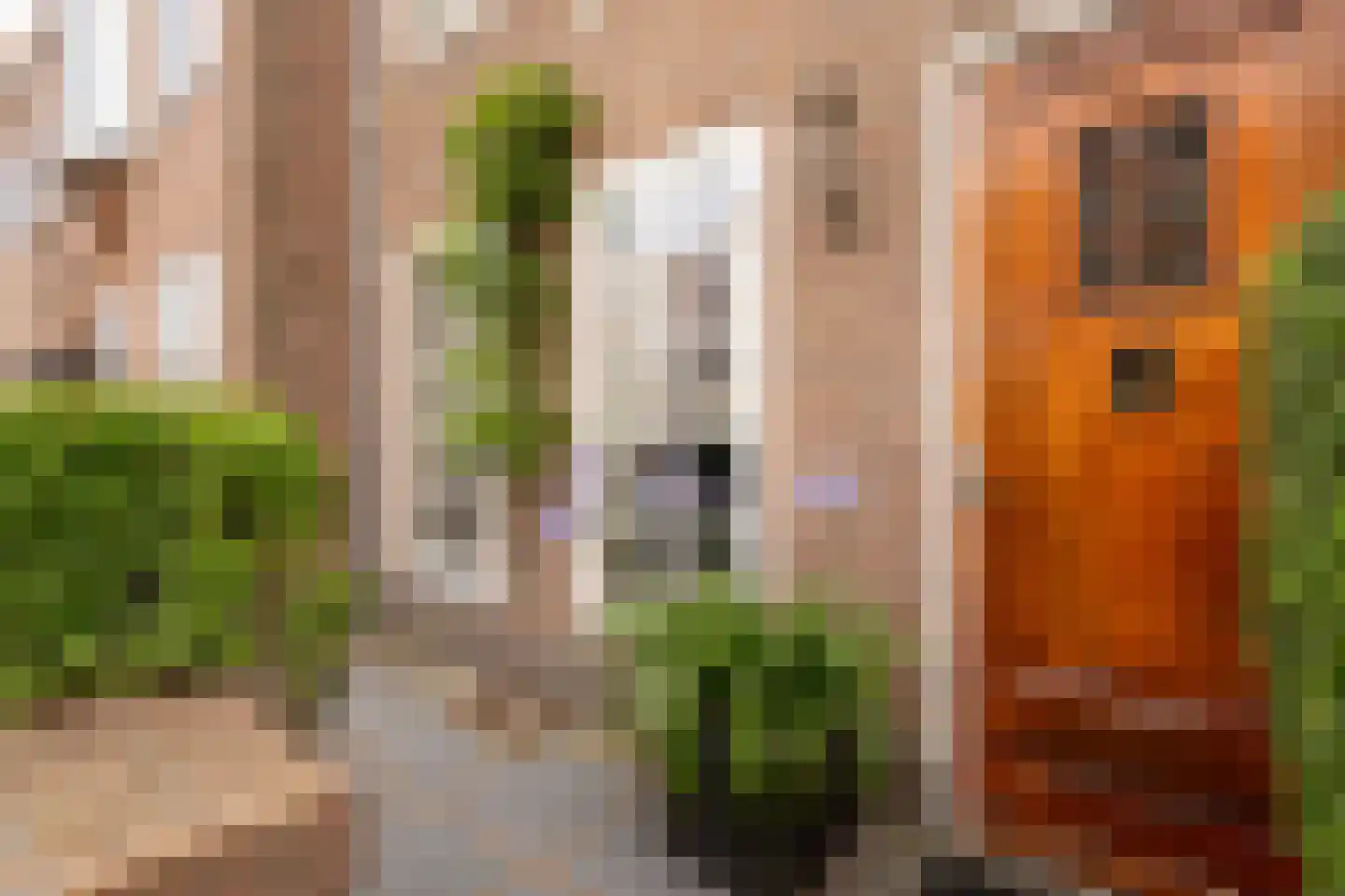 Van Beuningenstraat 22 Den Haag thumbnail 4