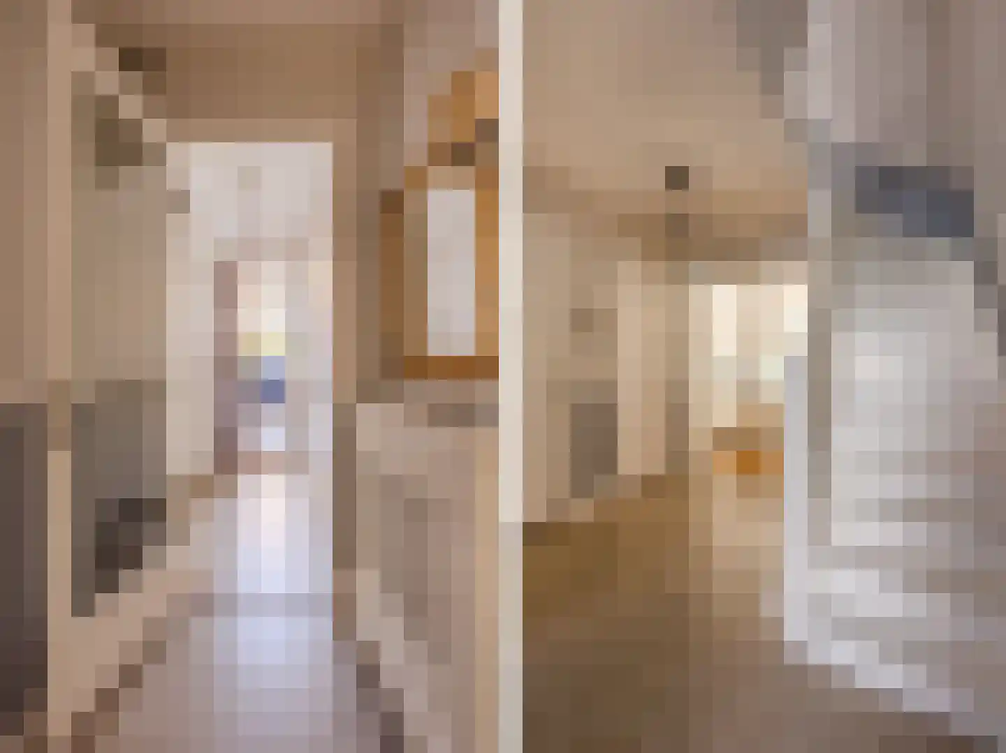 Van Beuningenstraat 22 Den Haag thumbnail 5