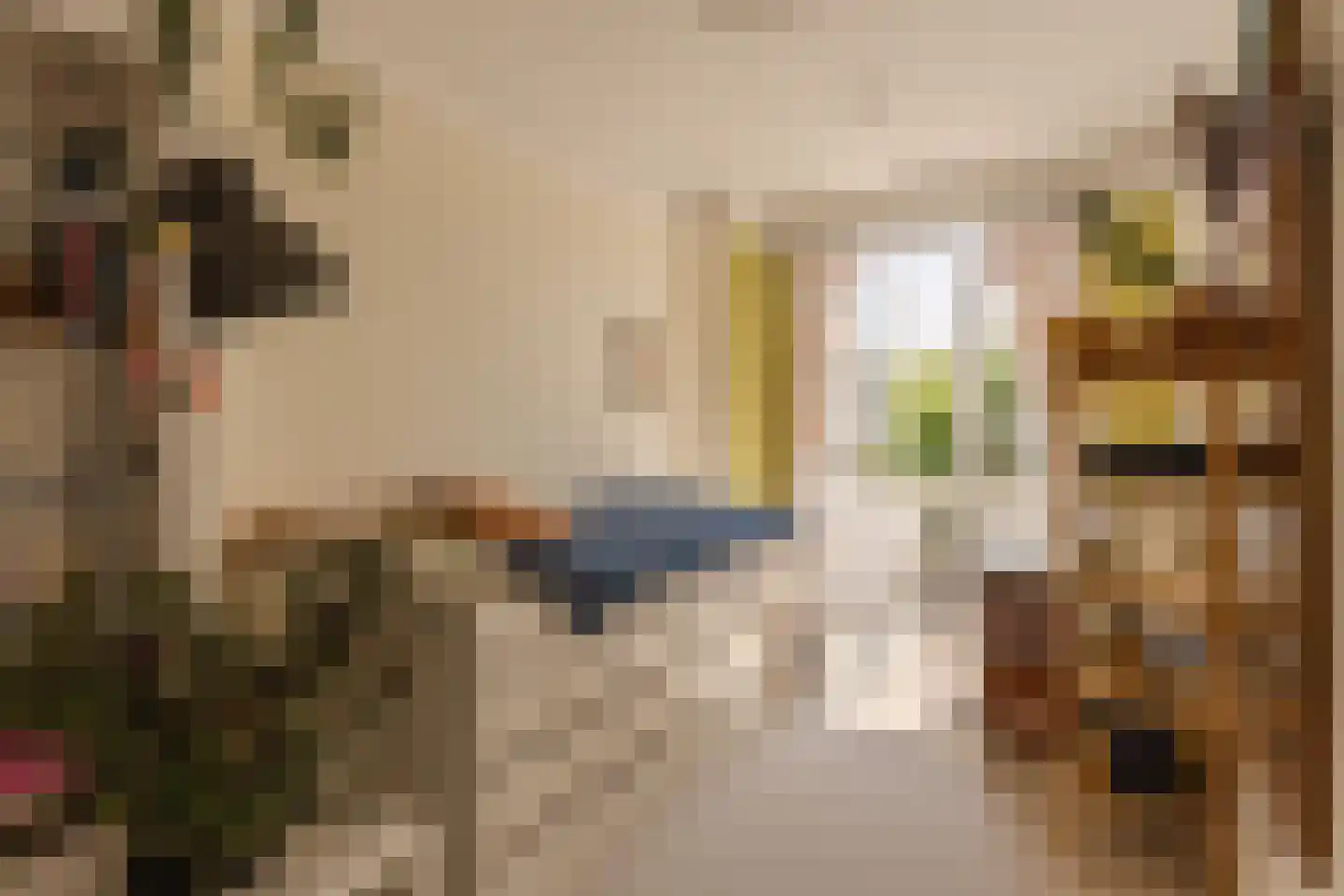 Van Beuningenstraat 22 Den Haag thumbnail 51