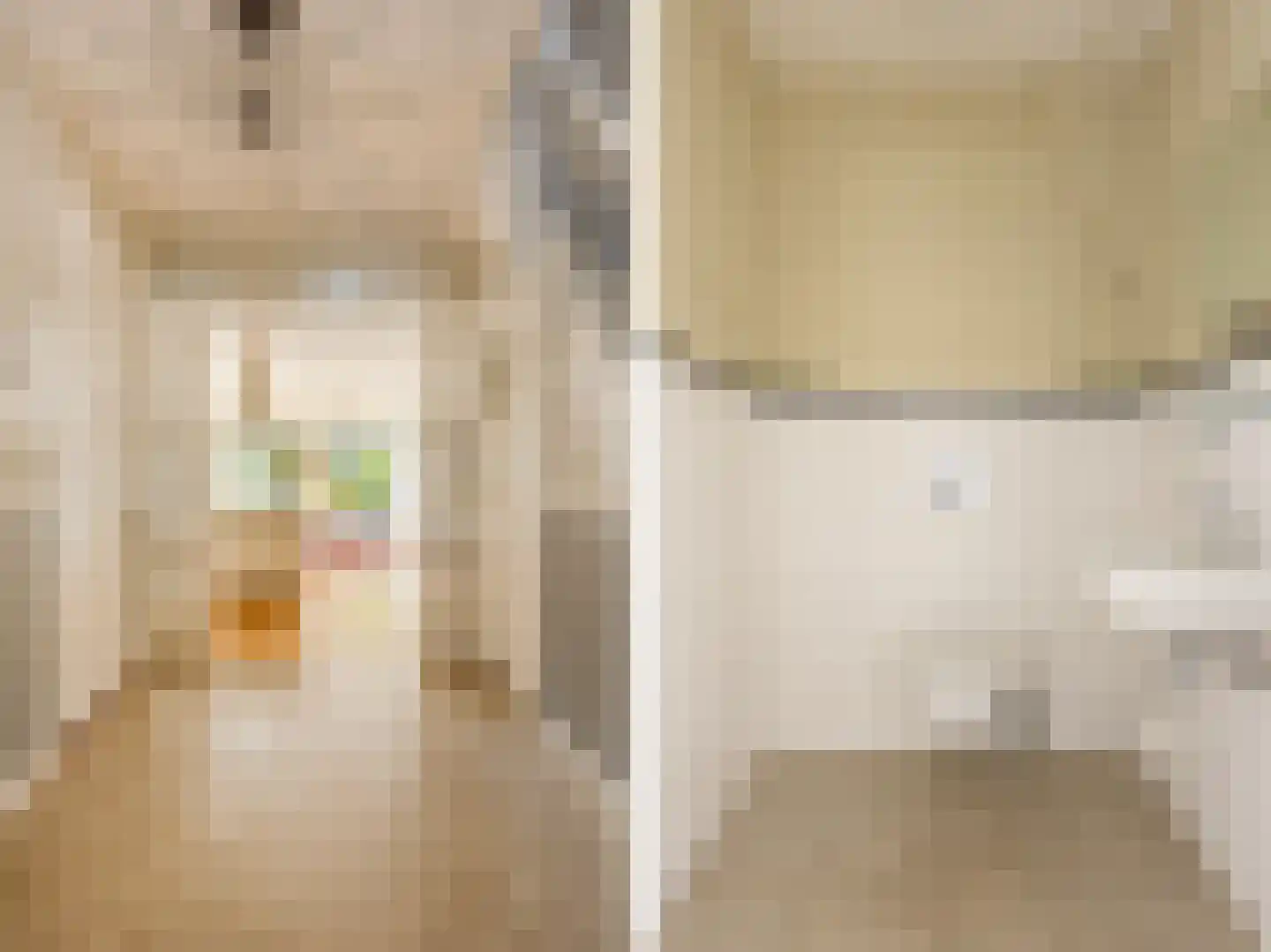 Van Beuningenstraat 22 Den Haag thumbnail 6