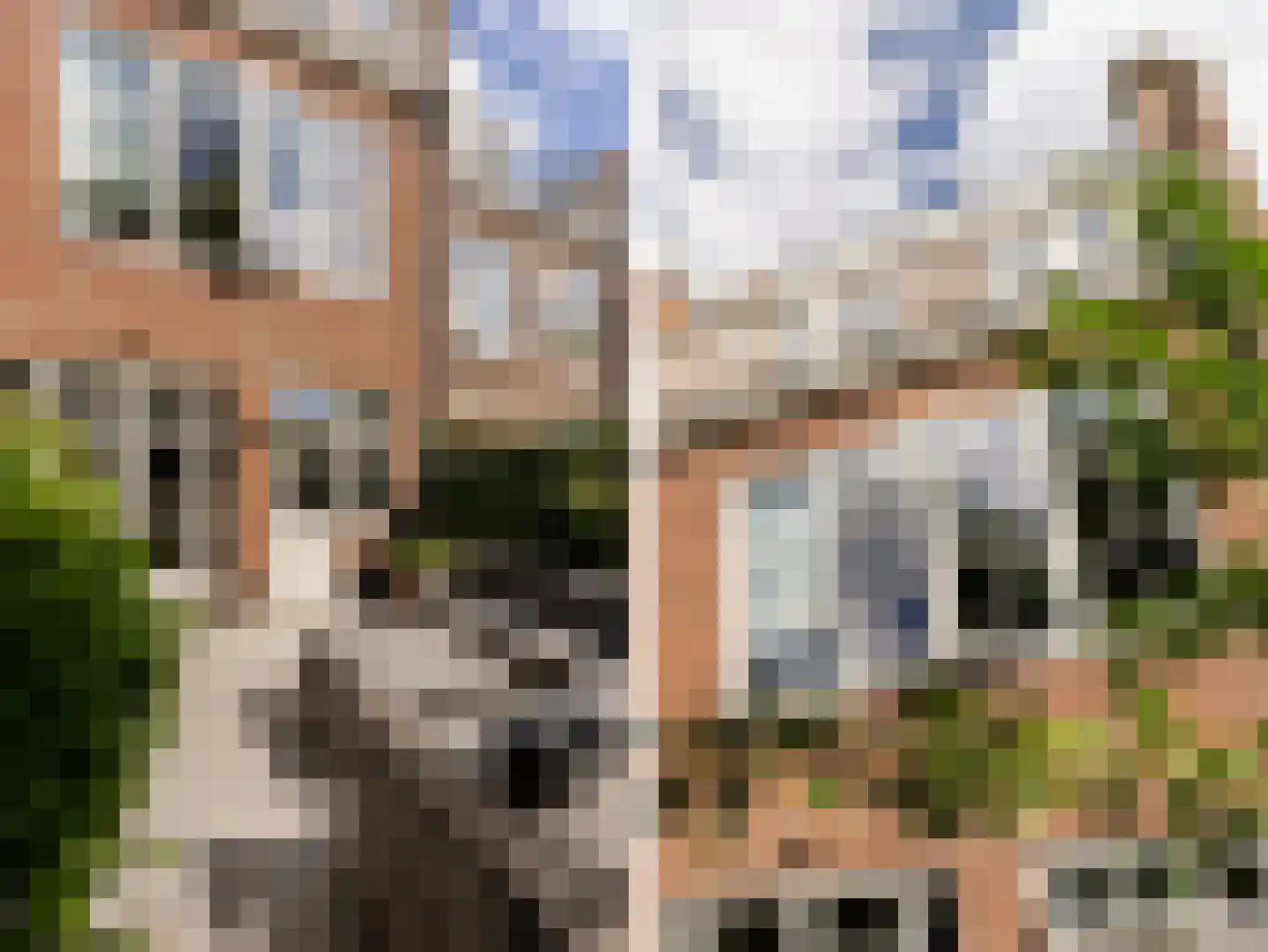 Van Beuningenstraat 22 Den Haag thumbnail 60