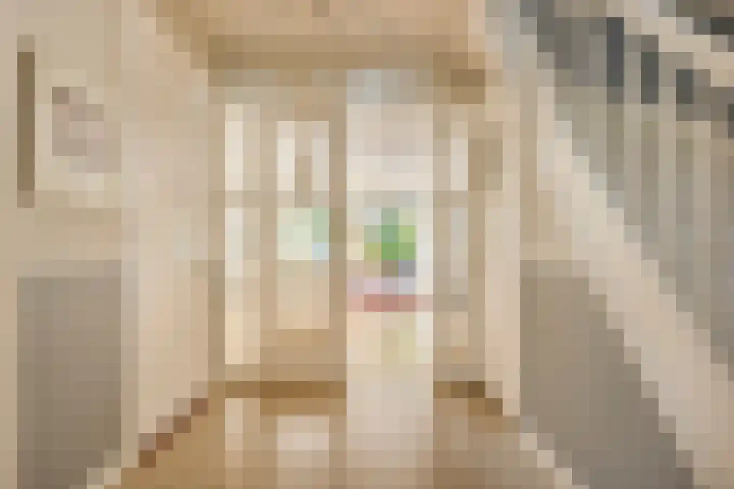 Van Beuningenstraat 22 Den Haag thumbnail 7