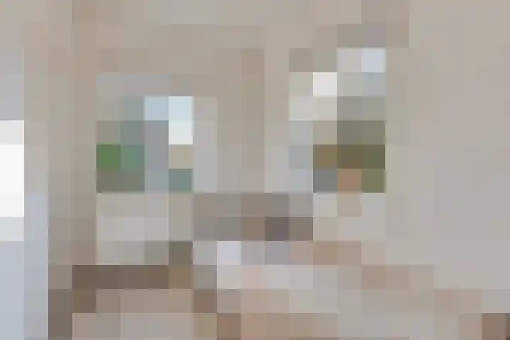 Van Beuningenstraat 22 Hilversum thumbnail 23