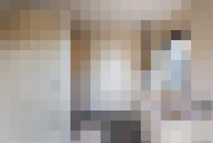 Van Beuningenstraat 22 Hilversum thumbnail 31