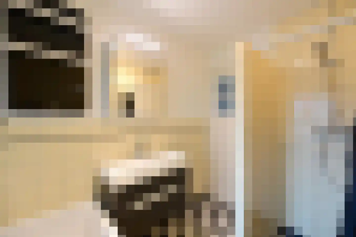 Van Beuningenstraat 27 Hilversum thumbnail 15