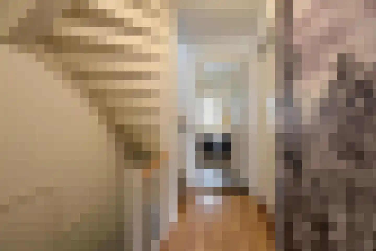 Van Beuningenstraat 27 Hilversum thumbnail 17