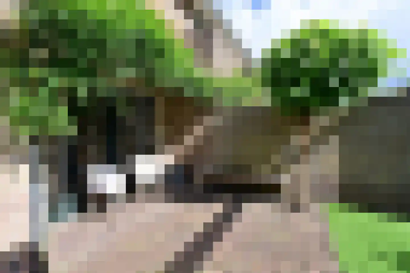 Van Beuningenstraat 27 Hilversum thumbnail 23
