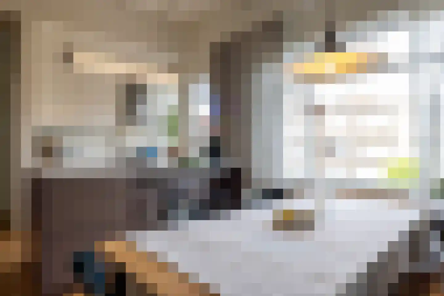Van Beuningenstraat 5 BGL Rotterdam thumbnail 13