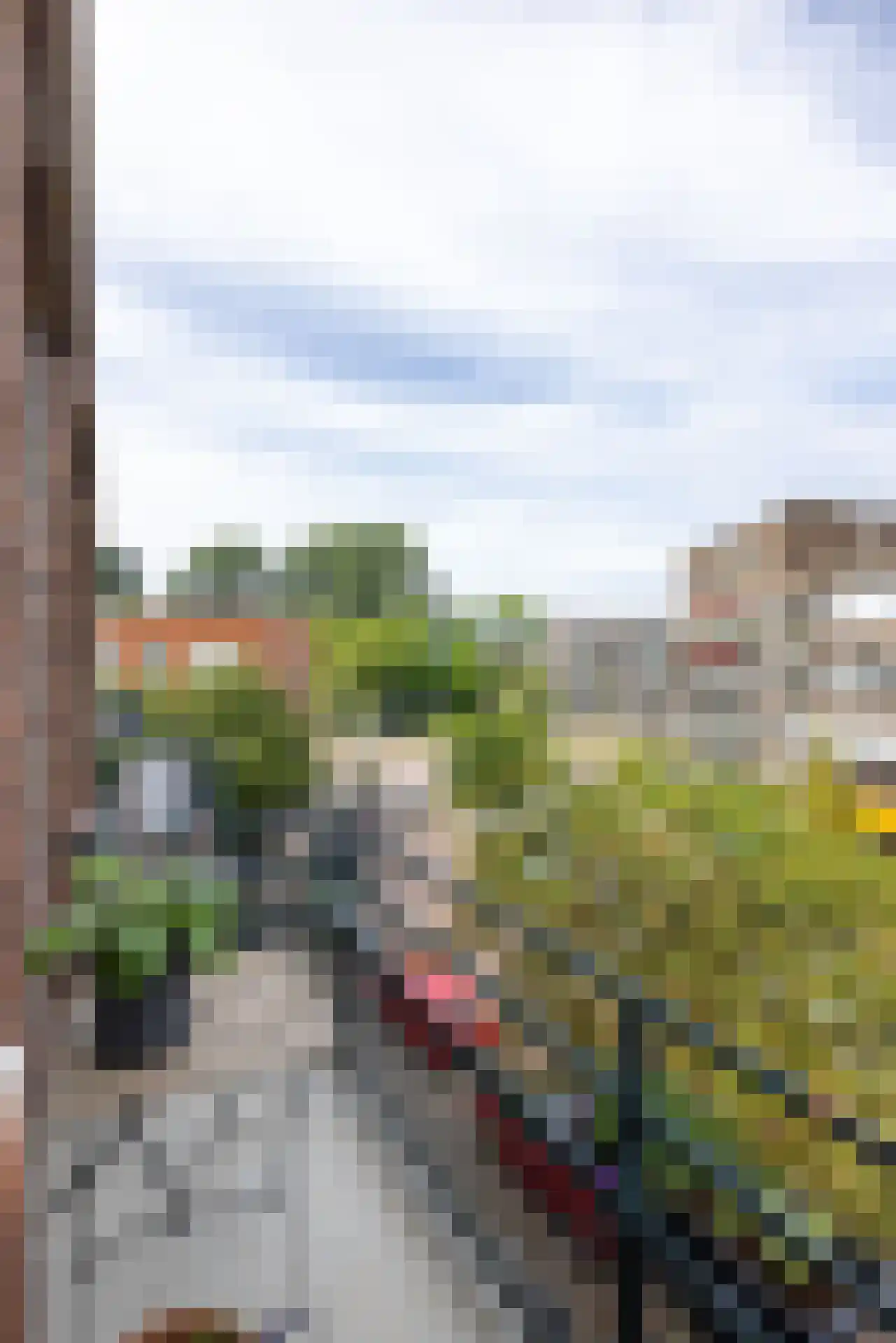 Van Beuningenstraat 5 BGL Rotterdam thumbnail 18