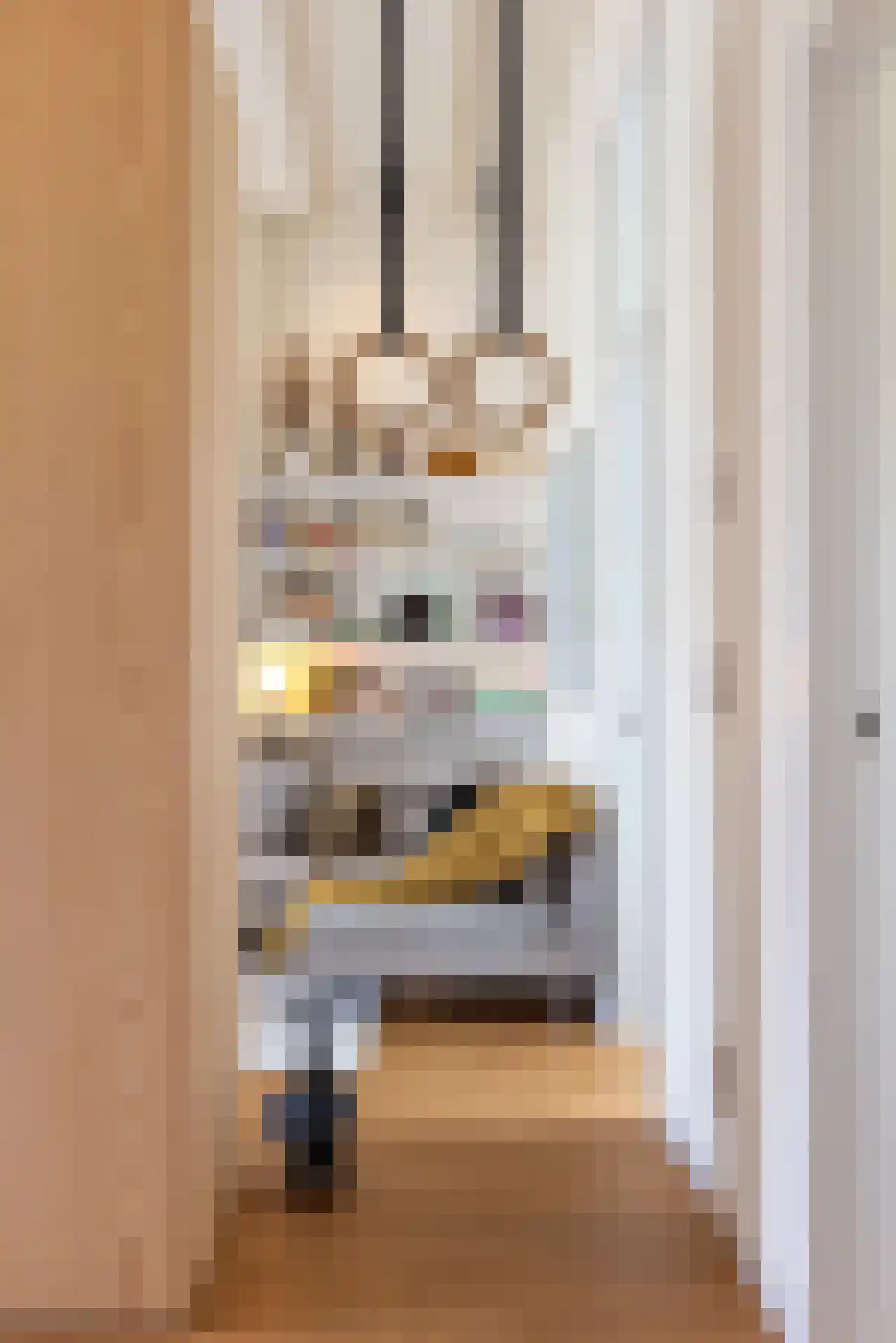 Van Beuningenstraat 5 BGL Rotterdam thumbnail 6
