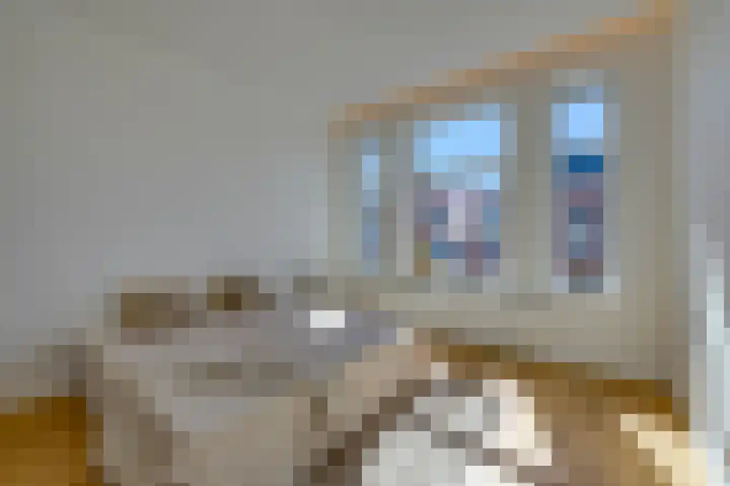 Van Beuningenstraat 61 Den Haag thumbnail 35