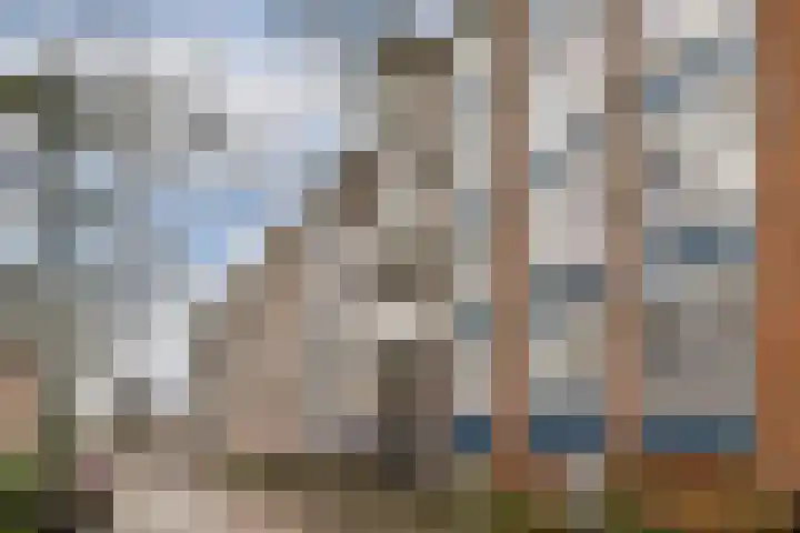 Van Beuningenstraat 67 Amsterdam thumbnail 23