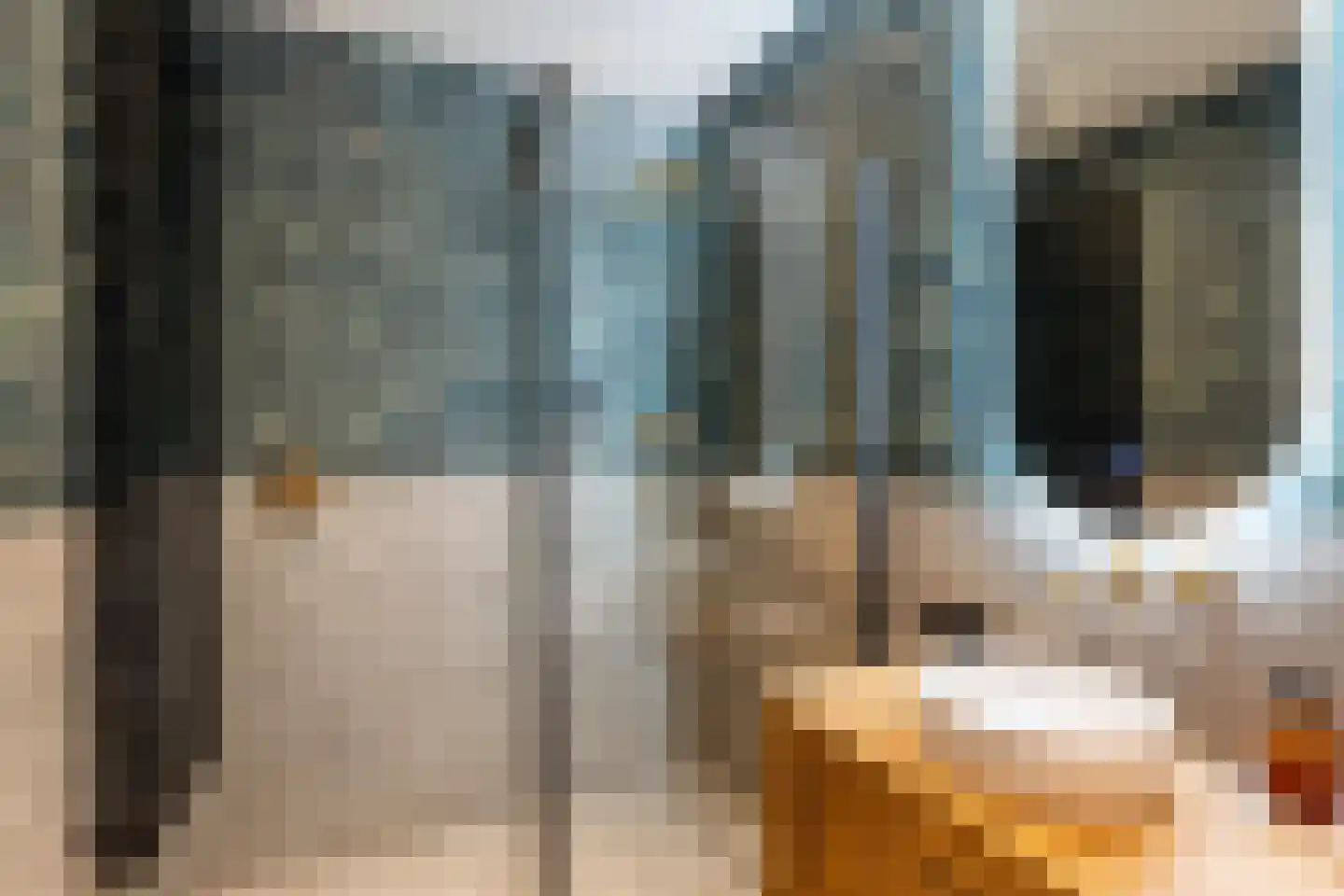 Van Beuningenstraat 7 02L Rotterdam thumbnail 28