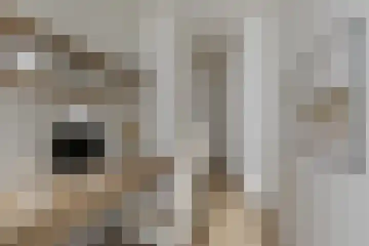 Van Beuningenstraat 7 BGL Rotterdam thumbnail 11