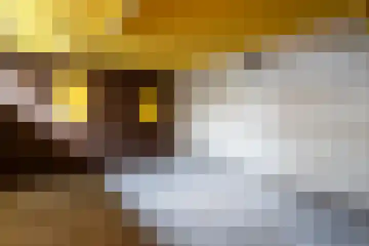 Van Beuningenstraat 7 BGL Rotterdam thumbnail 12