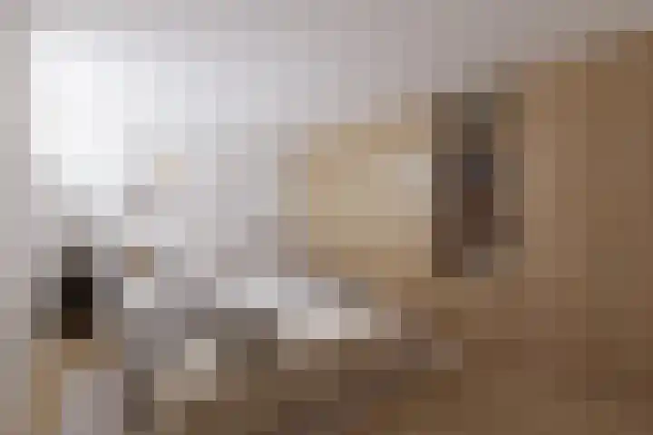 Van Beuningenstraat 7 BGL Rotterdam thumbnail 13