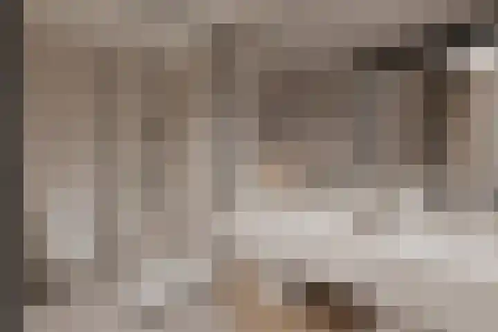Van Beuningenstraat 7 BGL Rotterdam thumbnail 15
