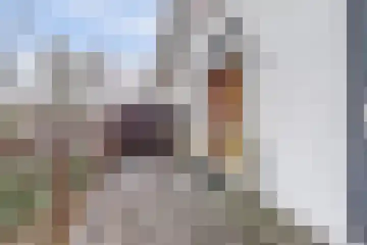 van Beverninghlaan 32 Gouda thumbnail 22
