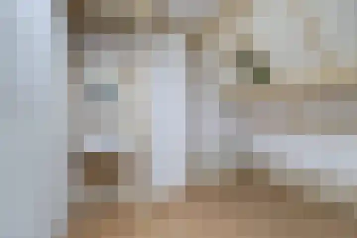 van Beverninghlaan 32 Gouda thumbnail 33