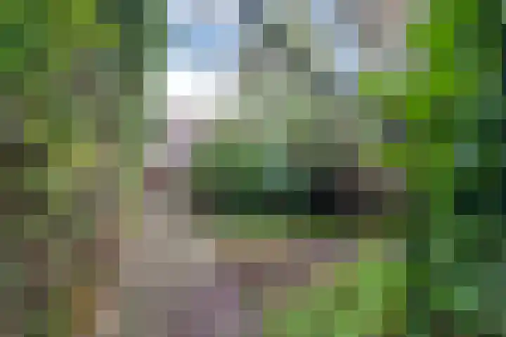 van Beverninghlaan 32 Gouda thumbnail 42