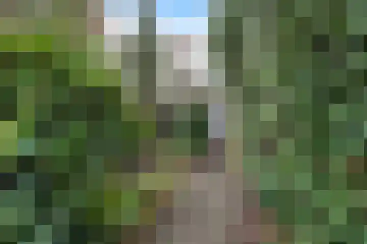 van Beverninghlaan 32 Gouda thumbnail 44