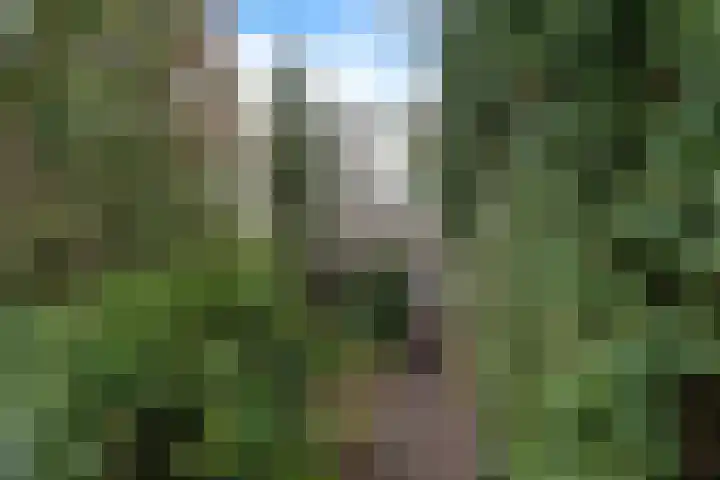 van Beverninghlaan 32 Gouda thumbnail 45