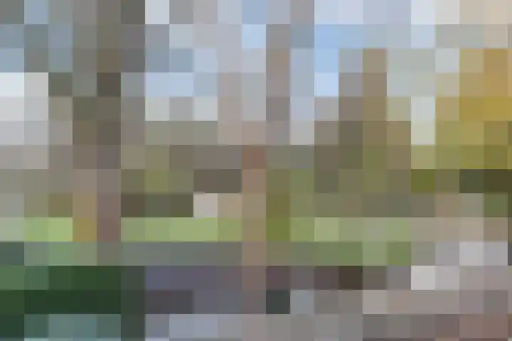 van Beverninghlaan 32 Gouda thumbnail 48
