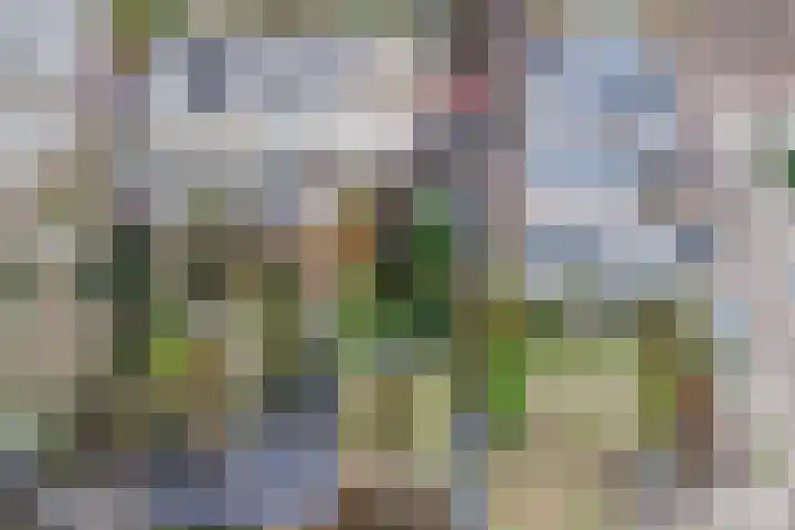 van Beverninghlaan 32 Gouda thumbnail 56
