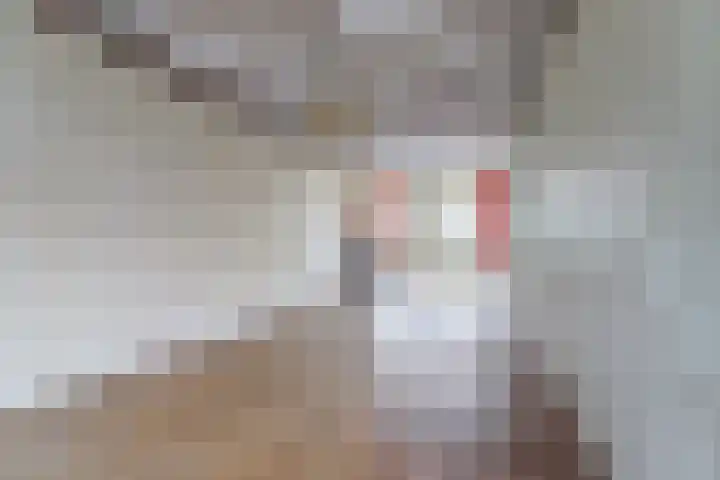 van Beverninghlaan 32 Gouda thumbnail 7