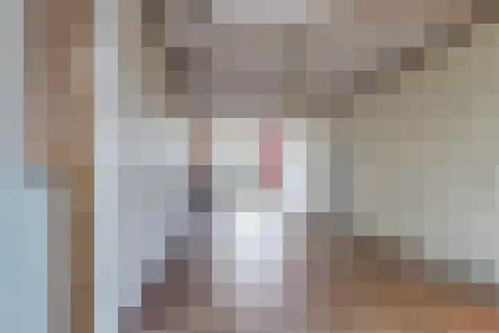 van Beverninghlaan 32 Gouda thumbnail 8