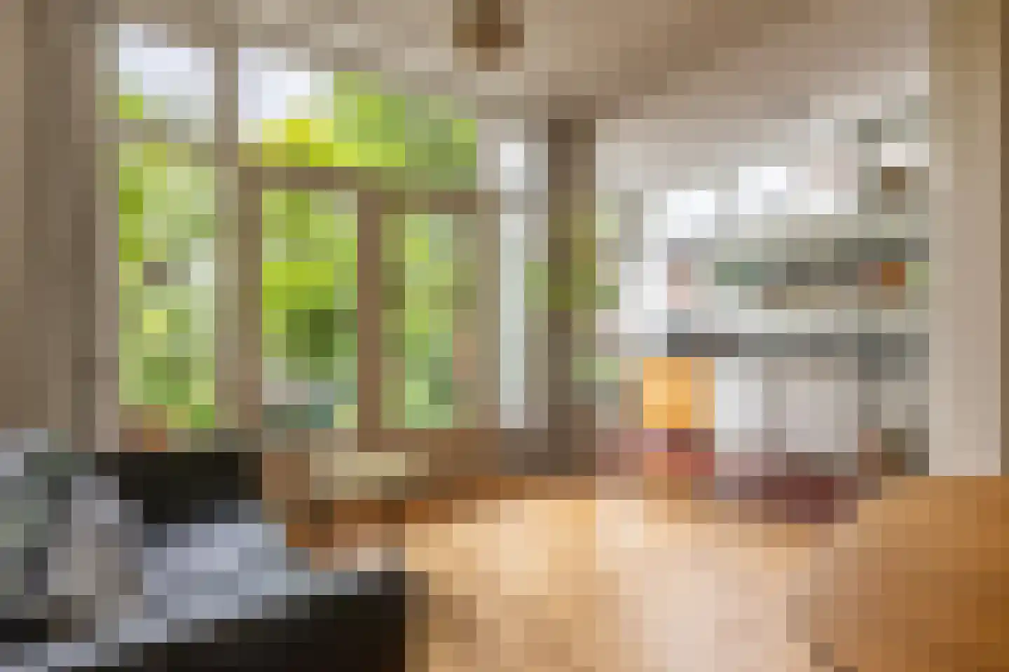 van Beverninghlaan 35 Gouda thumbnail 23