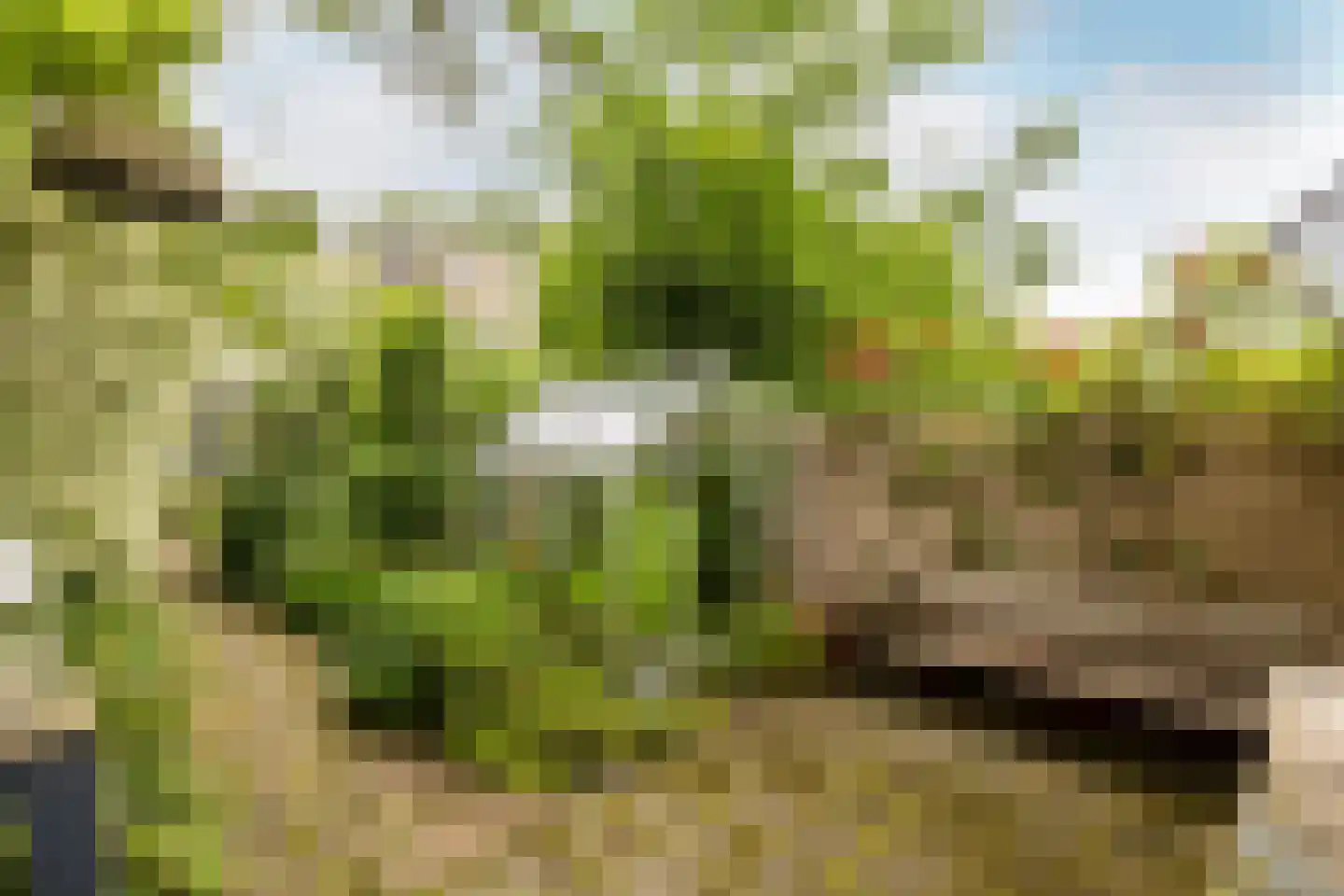 van Beverninghlaan 35 Gouda thumbnail 4