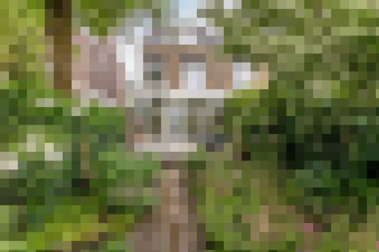van Beverninghlaan 35 Gouda thumbnail 47