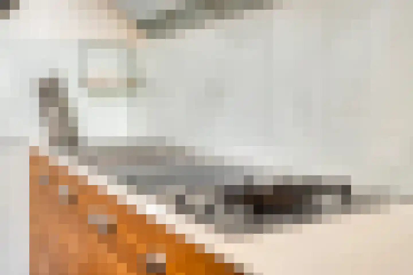 van Beverninghlaan 36 Gouda thumbnail 27