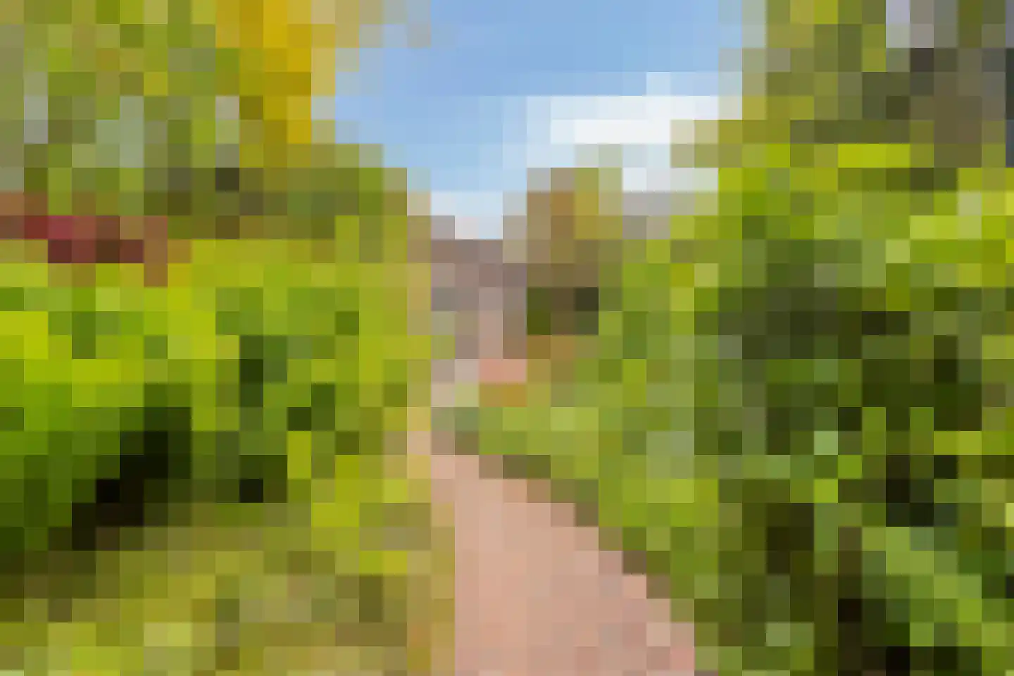 van Beverninghlaan 36 Gouda thumbnail 4