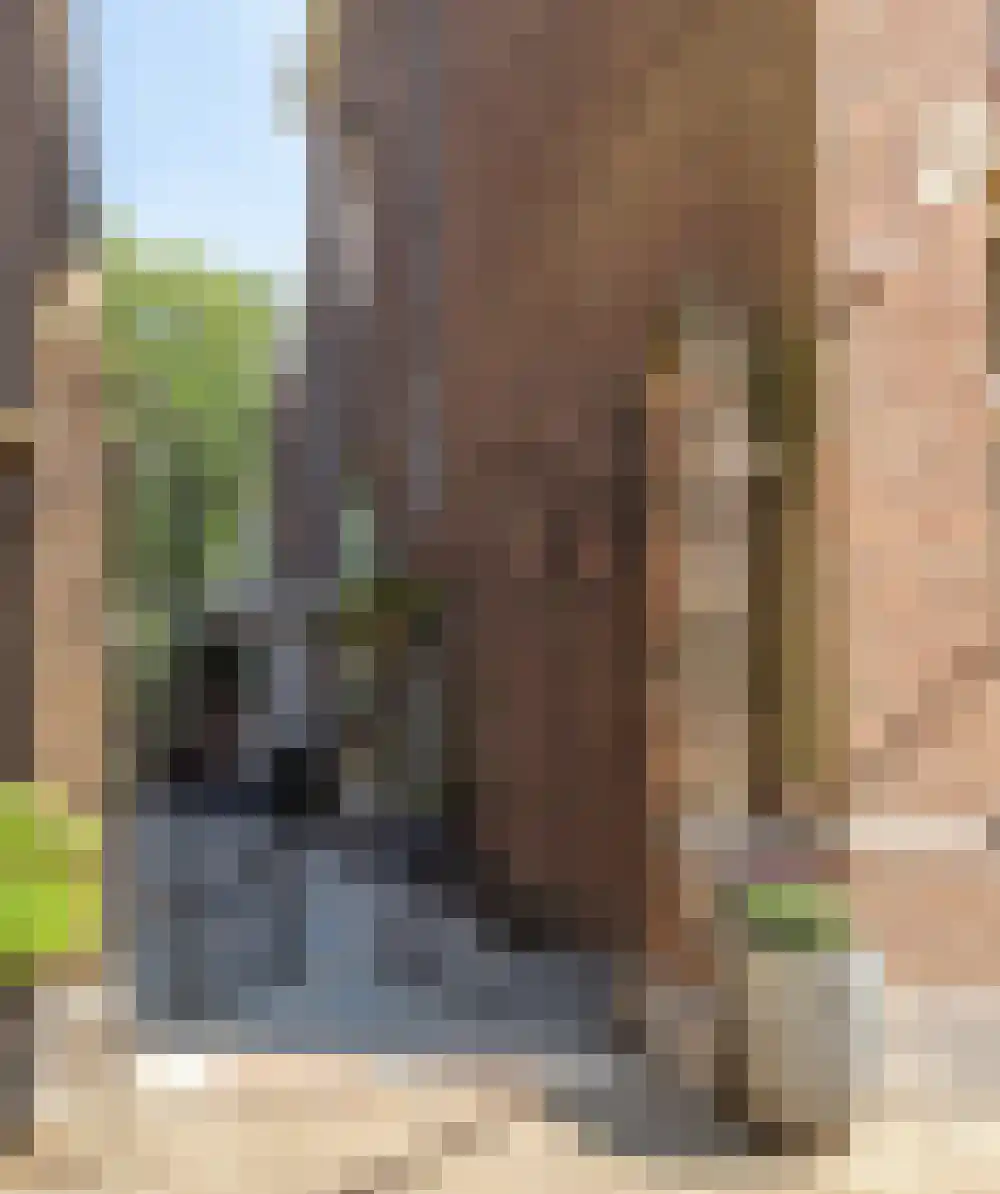 van Beverninghlaan 36 Gouda thumbnail 4