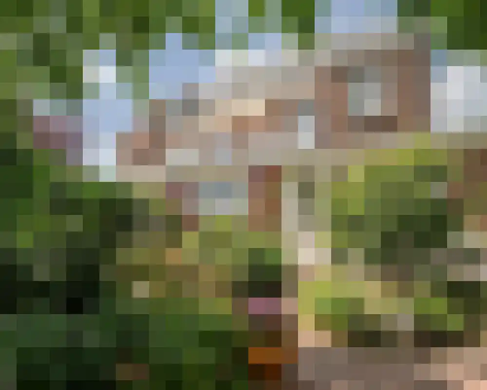 van Beverninghlaan 36 Gouda thumbnail 48